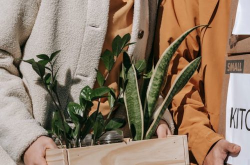 Building a Sustainable Life Together: Eco Tips for Modern Couples